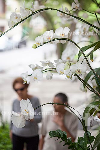  Assunto: Orquídeas Phalaenopsis brancas na rua Nascimento Silva / Local: Ipanema - Rio de Janeiro (RJ) - Brasil / Data: 11/2012 