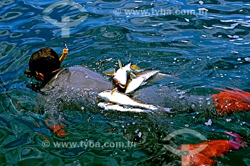  Assunto: Homem praticando pesca submarina  / Local: Ilhabela - São Paulo (SP) - Brasil / Data: 1989 