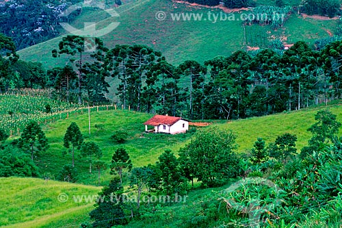  Assunto: Casa na Serra da Mantiqueia / Local: Campos do Jordão - São Paulo (SP) - Brasil / Data: 1998 