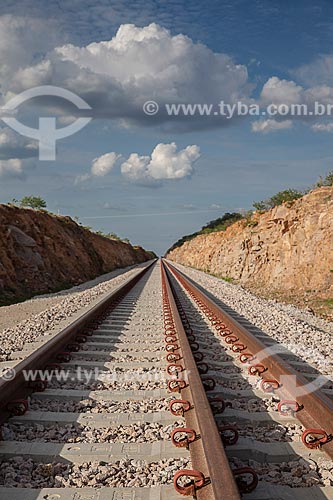  Assunto: Trecho da Ferrovia Nova Transnordestina / Local: Pernambuco (PE) - Brasil / Data: 01/2013 