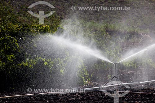  Assunto: Irrigação em plantação de cana-de-açúcar no Engenho Uruaé / Local: Goiana - Pernambuco (PE) - Brasil / Data: 02/2013 