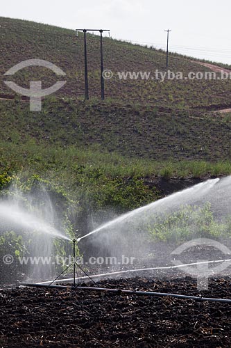  Assunto: Irrigação em plantação de cana-de-açúcar no Engenho Uruaé / Local: Goiana - Pernambuco (PE) - Brasil / Data: 02/2013 