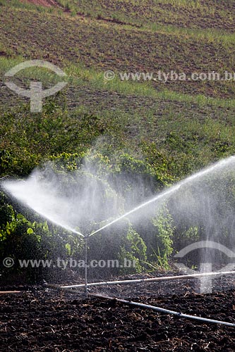  Assunto: Irrigação em plantação de cana-de-açúcar no Engenho Uruaé / Local: Goiana - Pernambuco (PE) - Brasil / Data: 02/2013 