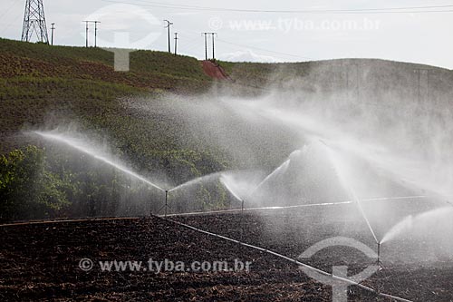  Assunto: Irrigação em plantação de cana-de-açúcar no Engenho Uruaé / Local: Goiana - Pernambuco (PE) - Brasil / Data: 02/2013 