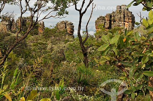  Assunto: Condomínio de Pedras - Localizado na Serra Preta no complexo da Serra da Canastra / Local: Delfinópolis - Minas Gerais (MG) - Brasil / Data: 03/2013 