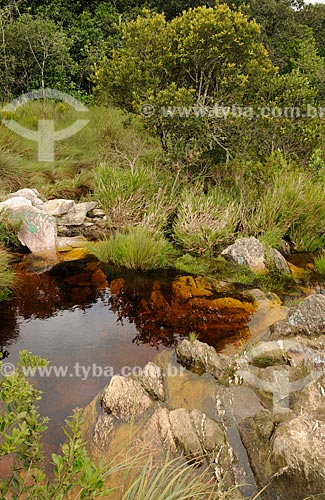  Assunto: Nascente do Rio São Francisco, localizada no Parque Nacional da Serra da Canastra / Local: São Roque de Minas - Minas Gerais (MG) - Brasil / Data: 03/2013 