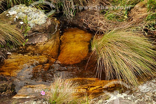  Assunto: Nascente do Rio São Francisco, localizada no Parque Nacional da Serra da Canastra / Local: São Roque de Minas - Minas Gerais (MG) - Brasil / Data: 03/2013 