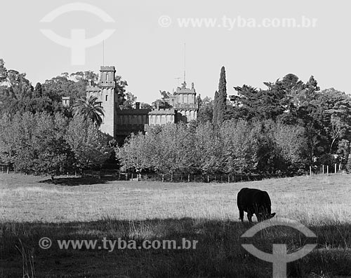  Assunto: Castelo de Pedras Altas (1913) - que pertenceu a Joaquim Francisco de Assis Brasil / Local: Pedras Altas - Rio Grande do Sul (RS) - Brasil / Data: 1984 