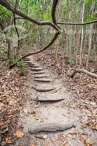  Assunto: Escada na trilha chamada Velho Castelo no Santuário Ecológico de Pipa / Local: Tibau do Sul - Rio Grande do Norte (RN) - Brasil / Data: 03/2013 