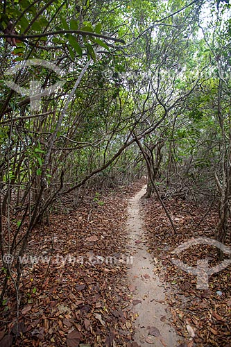  Assunto: Trilha no Santuário Ecológico de Pipa / Local: Tibau do Sul - Rio Grande do Norte (RN) - Brasil / Data: 03/2013 