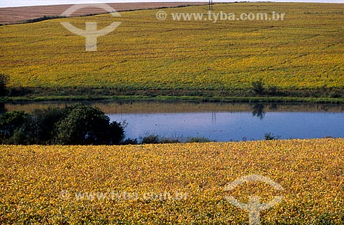  Assunto: Vista de Açude e plantação de soja / Local: Passo Fundo - Rio Grande do Sul (RS) - Brasil / Data: 2004 