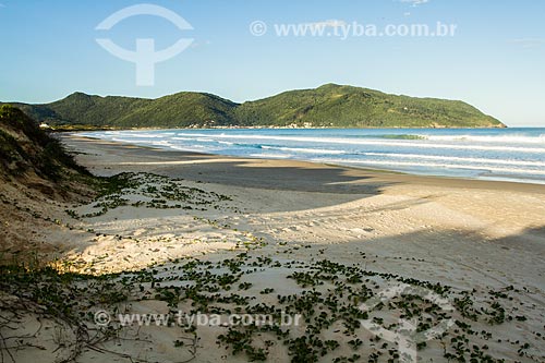  Assunto: Praia dos Açores / Local: Florianópolis - Santa Catarina (SC) - Brasil / Data: 05/2013 