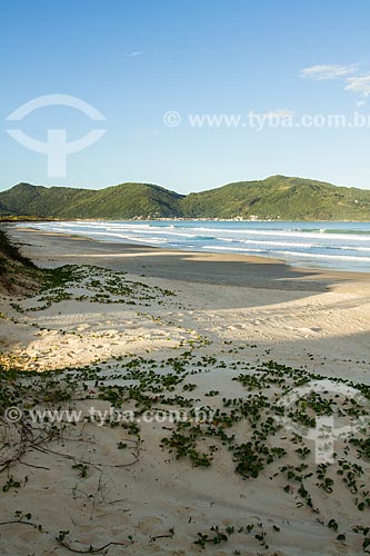  Assunto: Praia dos Açores / Local: Florianópolis - Santa Catarina (SC) - Brasil / Data: 05/2013 