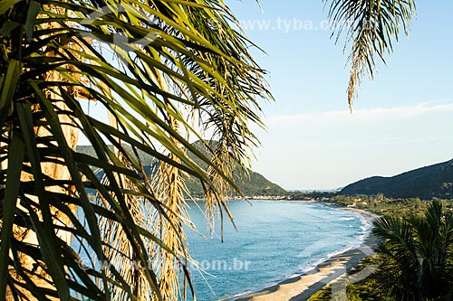  Assunto: Praia da Armação do Pântano do Sul / Local: Florianópolis - Santa Catarina (SC) - Brasil / Data: 06/2013 