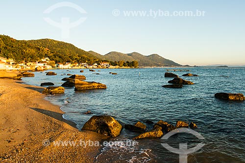  Assunto: Praia do Ribeirão da Ilha / Local: Ribeirão da Ilha - Florianópolis - Santa Catarina (SC) - Brasil / Data: 07/2013 