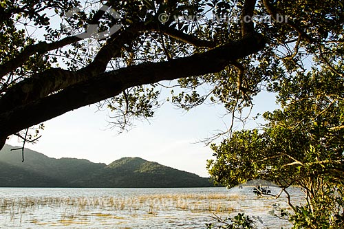  Assunto: Lagoa do Peri / Local: Florianópolis - Santa Catarina (SC) - Brasil / Data: 08/2013 