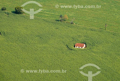  Assunto: Vista aérea de casa cercada por plantação de cana-de-açúcar / Local: Guaíra - São Paulo (SP) - Brasil / Data: 05/2013 