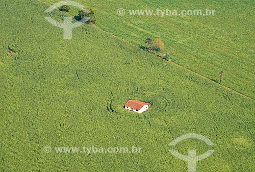  Assunto: Vista aérea de casa cercada por plantação de cana-de-açúcar / Local: Guaíra - São Paulo (SP) - Brasil / Data: 05/2013 