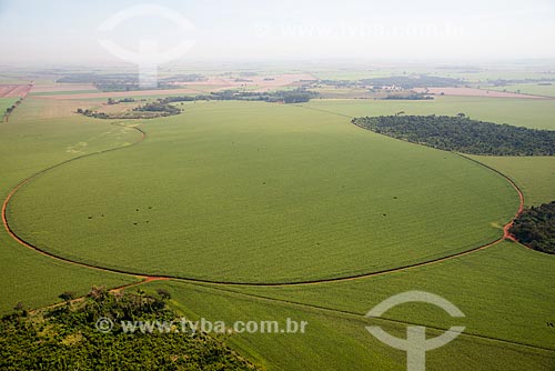  Assunto: Vista aérea de plantação de cana-de-açúcar / Local: Guaíra - São Paulo (SP) - Brasil / Data: 05/2013 