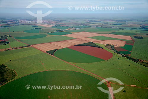  Assunto: Vista aérea de plantação de milho / Local: Guaíra - São Paulo (SP) - Brasil / Data: 05/2013 