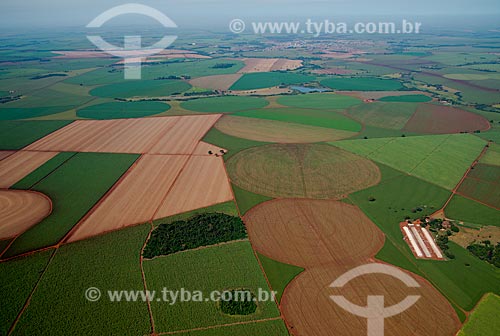  Assunto: Vista aérea de plantação de milho / Local: Guaíra - São Paulo (SP) - Brasil / Data: 05/2013 