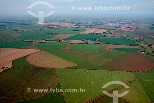  Assunto: Vista aérea de plantação de milho / Local: Guaíra - São Paulo (SP) - Brasil / Data: 05/2013 