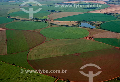  Assunto: Vista aérea de plantação de milho / Local: Guaíra - São Paulo (SP) - Brasil / Data: 05/2013 