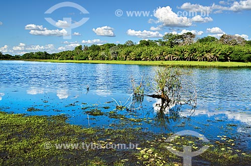  Assunto: Baía no Estrada Parque Pantanal / Local: Corumbá - Mato Grosso do Sul (MS) - Brasil / Data: 11/2011 