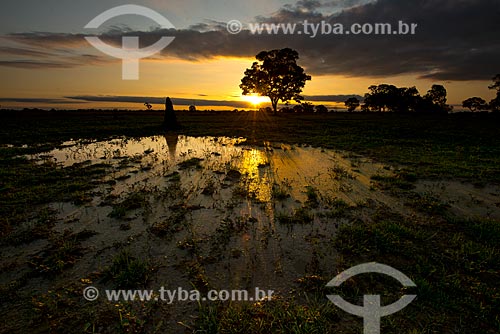  Assunto: Pôr do sol no Estrada Parque Pantanal / Local: Corumbá - Mato Grosso do Sul (MS) - Brasil / Data: 10/2012 