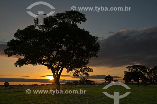  Assunto: Pôr do sol no Estrada Parque Pantanal / Local: Corumbá - Mato Grosso do Sul (MS) - Brasil / Data: 10/2012 