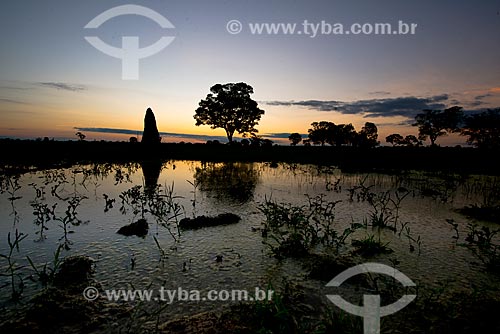  Assunto: Pôr do sol no Estrada Parque Pantanal / Local: Corumbá - Mato Grosso do Sul (MS) - Brasil / Data: 10/2012 