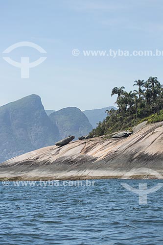  Assunto: Ilha Palmas - parte do Monumento Natural das Ilhas Cagarras / Local: Rio de Janeiro (RJ) - Brasil / Data: 11/2013 