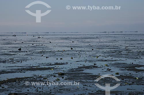  Poluição na Baía de Guanabara  - Duque de Caxias - Rio de Janeiro - Brasil