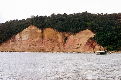 cd269_182.jpg