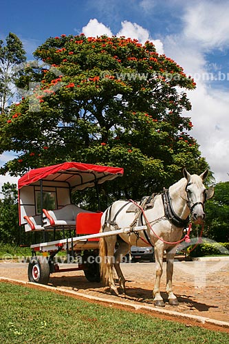  Assunto: Charrete / Local: Tiradentes - Minas Gerais - Brasil  / Data: 12/2007 