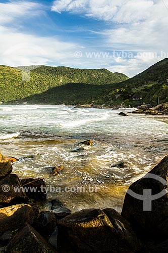  Assunto: Praia do Matadeiro vista da Praia da Armação / Local: Florianópolis - Santa Catarina (SC) - Brasil / Data: 04/2014 