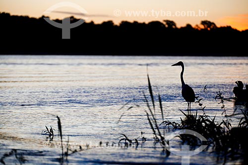  Pôr do sol às margens do Rio Guaporé  - São Francisco do Guaporé - Rondônia (RO) - Brasil