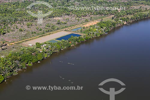  Foto aérea de piscicultura na comunidade Cujubim  - Porto Velho - Rondônia (RO) - Brasil