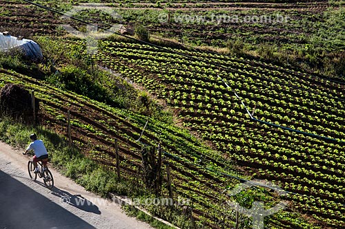  Plantação de alface crespa próximo ao Parque Nacional da Serra dos Órgãos  - Petrópolis - Rio de Janeiro (RJ) - Brasil