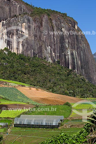  Plantação de hortaliças próximo ao Parque Nacional da Serra dos Órgãos  - Petrópolis - Rio de Janeiro (RJ) - Brasil