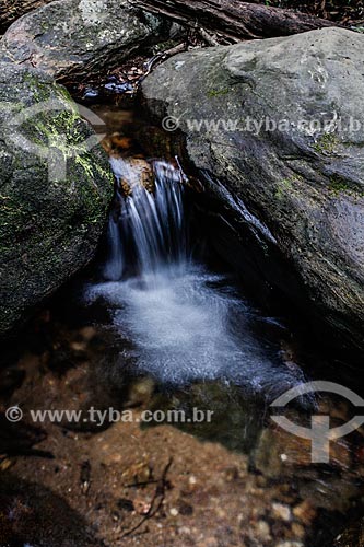  Cachoeira no Horto  - Rio de Janeiro - Rio de Janeiro (RJ) - Brasil