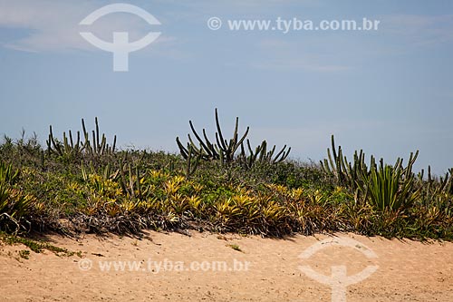  Orla da Praia do Mar do Norte  - Rio das Ostras - Rio de Janeiro (RJ) - Brasil