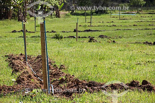  Sistema de irrigação da Fazenda Vale das Palmeiras  - Teresópolis - Rio de Janeiro (RJ) - Brasil