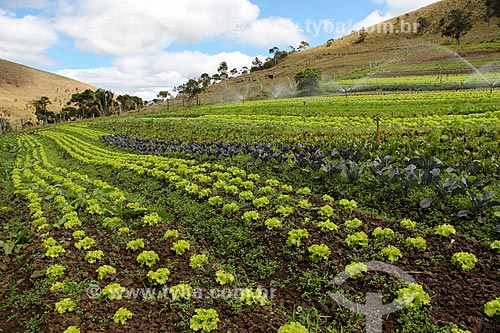  Horta da fazenda Vale das Palmeiras  - Teresópolis - Rio de Janeiro (RJ) - Brasil