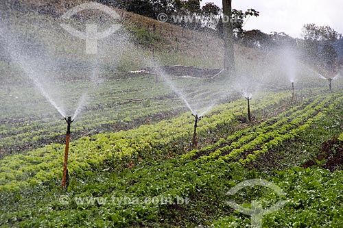  Horta da fazenda Vale das Palmeiras  - Teresópolis - Rio de Janeiro (RJ) - Brasil