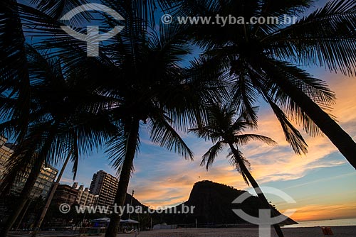  Nascer do sol na Praia do Leme  - Rio de Janeiro - Rio de Janeiro (RJ) - Brasil