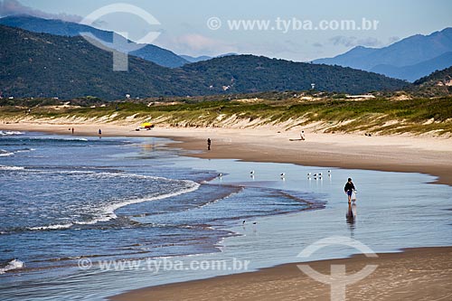  Orla da Praia da Joaquina  - Florianópolis - Santa Catarina (SC) - Brasil