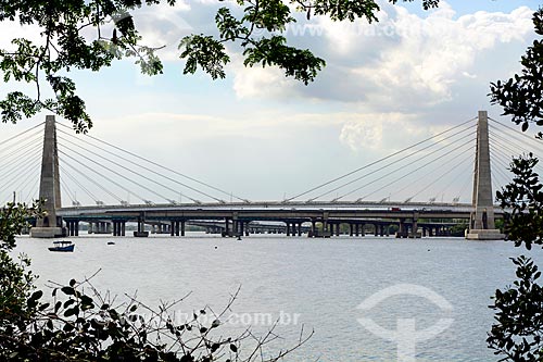  Vista da Ponte Prefeito Pereira Passos (2014) do BRT Transcarioca  - Rio de Janeiro - Rio de Janeiro (RJ) - Brasil