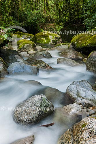  Rio Santo Antônio na Área de Proteção Ambiental da Serrinha do Alambari  - Resende - Rio de Janeiro (RJ) - Brasil