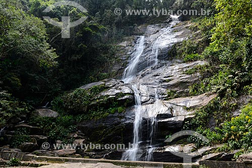  Cascatinha Taunay no Parque Nacional da Tijuca  - Rio de Janeiro - Rio de Janeiro (RJ) - Brasil